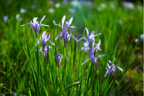 1713920333332767.png image.png